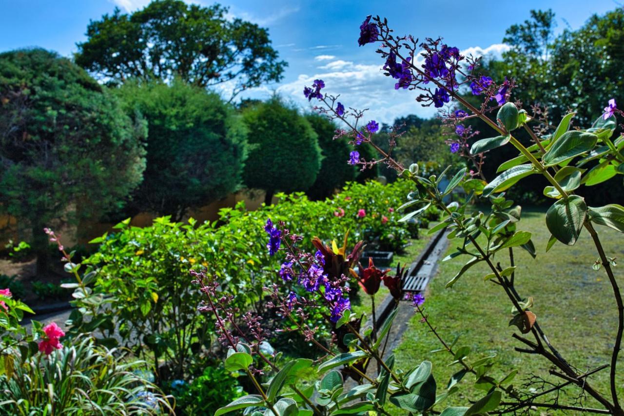 Hotel Villa Zurqui San Isidro  外观 照片