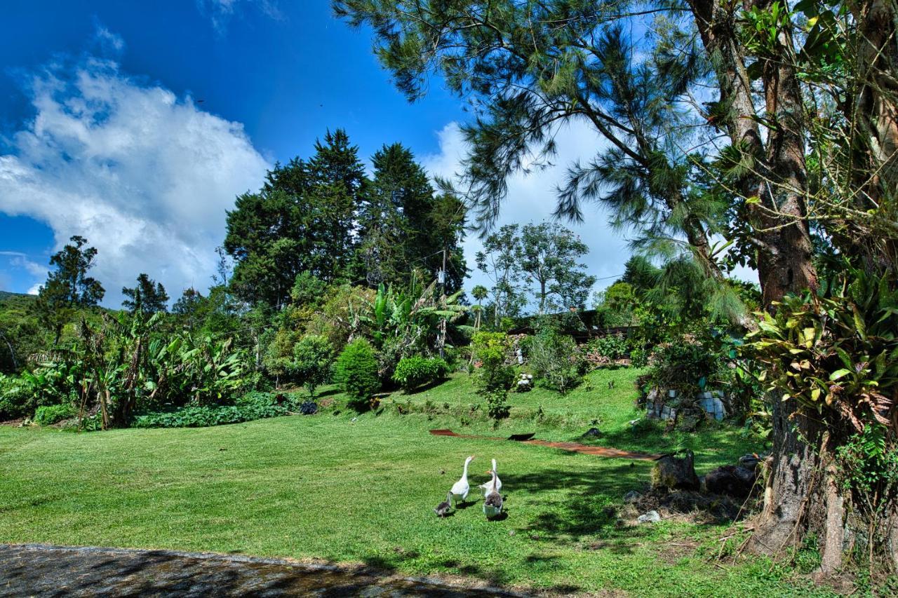 Hotel Villa Zurqui San Isidro  外观 照片