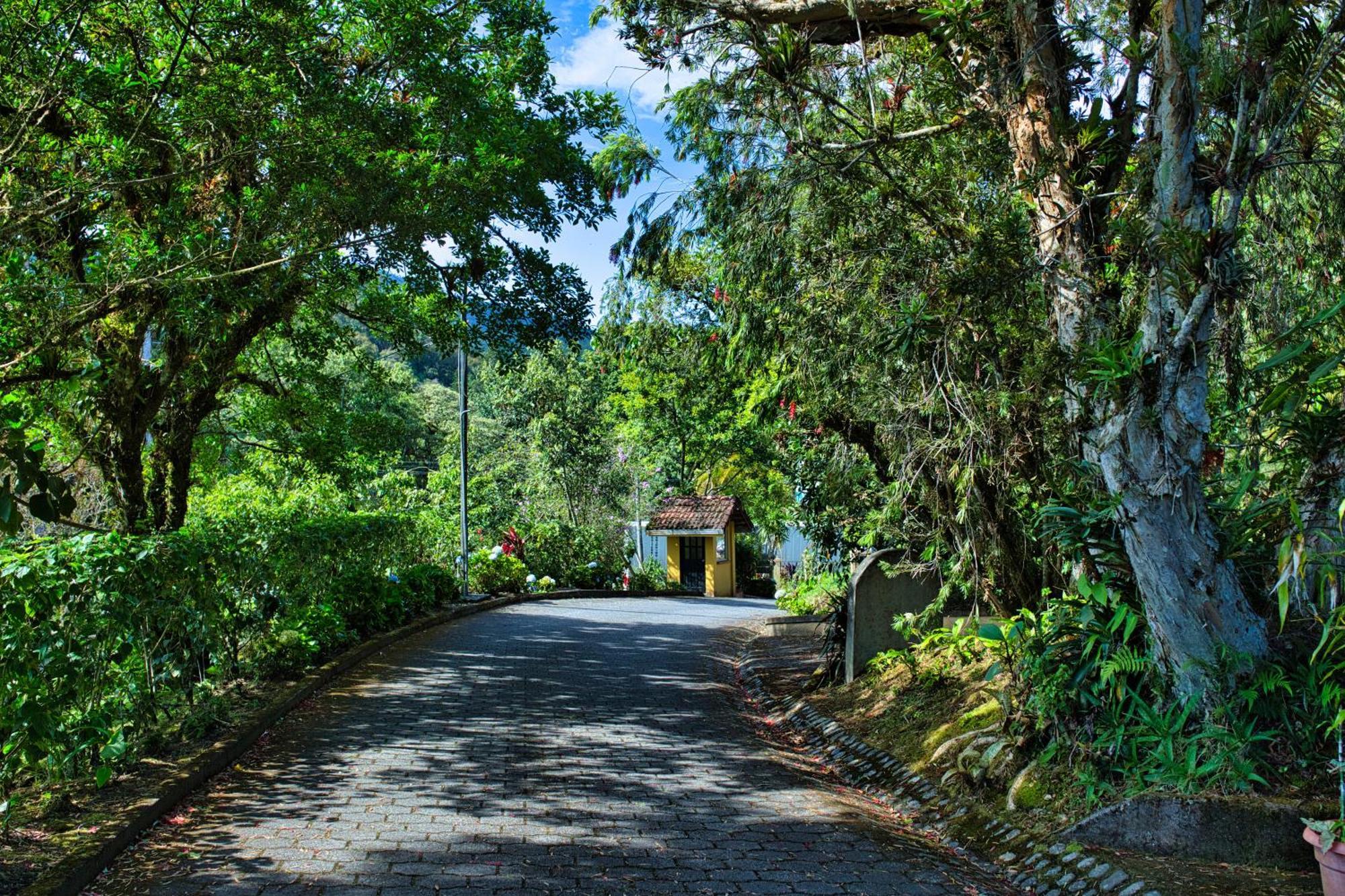 Hotel Villa Zurqui San Isidro  外观 照片