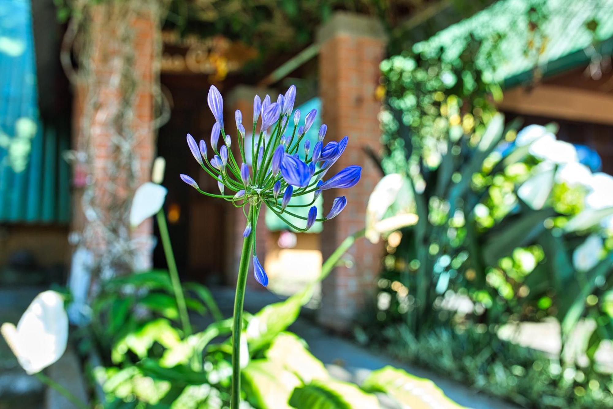 Hotel Villa Zurqui San Isidro  外观 照片